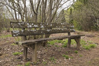 An old wooden bench in the 'Jardin du Grand Portage' garden in spring