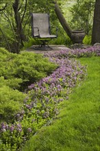 A row of purple flowers in a flower bed lead to a chair in a landscaped backyard garden in spring