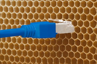 Honey comb with ethernet LAN plug