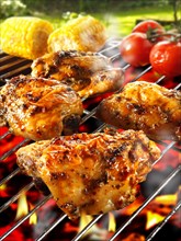 Chicken legs and thighs on a BBQ grill