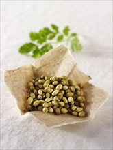 Coriander seeds and coriander leaves