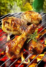 Barbecue chicken legs and thighs on a BBQ grill