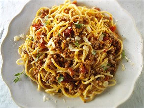 Traditional Italian Spaghetti Bolognese