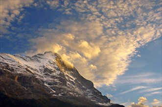 The Eiger North Face at sunset with clouds