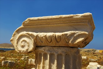 Delphic column capital of the ruins of the Greek city of Delos