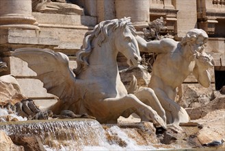 Winged horse sculpture of the Baroque Trevi Fountain