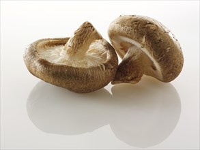 Fresh organic Shiitake mushrooms