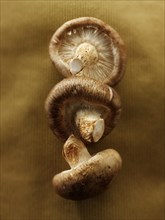Fresh Shiitake mushrooms