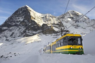 Grindelwald to Kleiner Scheidegg Train