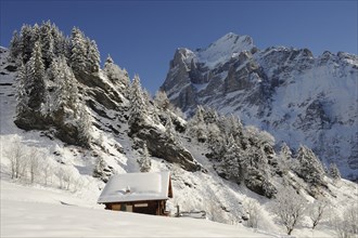 Alpine cabin in snow