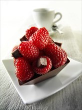 Square chocolate cake filled with chocolate truffle and topped with fresh raspberries