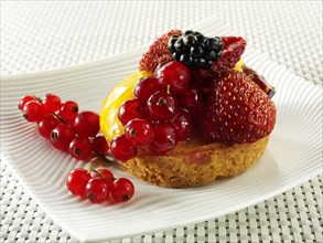 A modern fruit cake with redcurrants