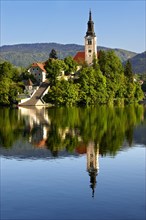 Assumption of Mary Pilgrimage Church in the middle of Lake Bled