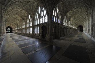 Cloisters of Gloucester Cathedral