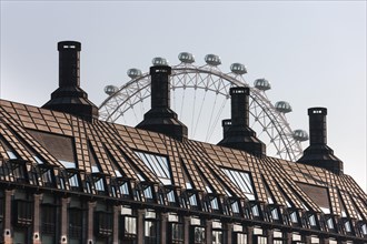 London Eye behind the roof of the Portcullis House