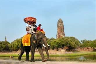 Tourists riding on an elephant