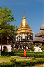 Chedi with elephant statues