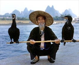 Cormorant fisherman with Great Cormorants (Phalacrocorax carbo) on the Li Jiang River