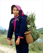 Woman wearing traditional dress