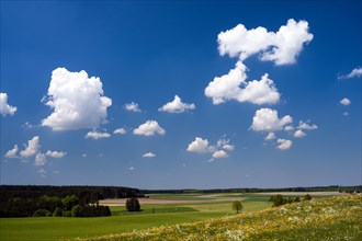 Landscape in Lechrain near Reichling