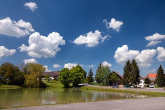 Pond in Reichling