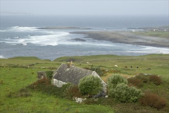 Coast and house near Doolin