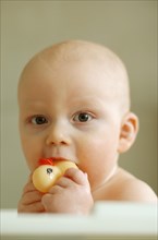 Baby with a rubber duck in his mouth