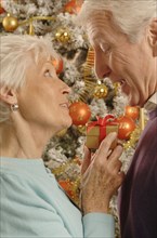 Mature couple exchanging presents in front of a Christmas tree