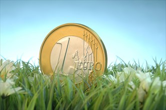 Oversized euro coin in the grass