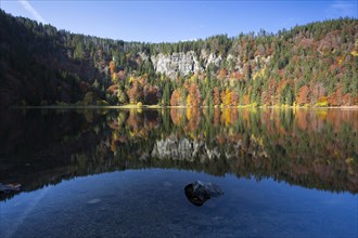 Reflection in the autumnal Lake Feldsee in the Black Forest