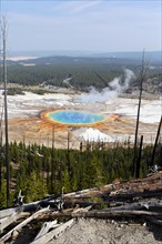 Grand Prismatic Spring