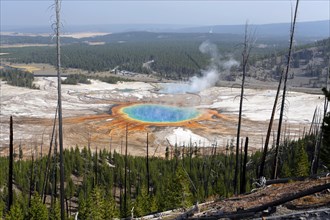 Grand Prismatic Spring