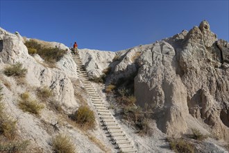 Man climbing a ladder in the Badlands