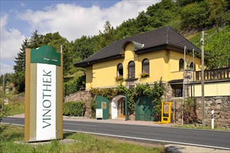 Vinotheque of the Vincenz Richter winery