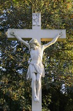 Field crucifix