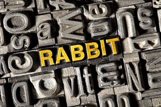 Old lead letters forming the word 'Rabbit'
