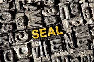 Old lead letters forming the word 'SEAL'