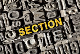 Old lead letters forming the word 'SECTION'