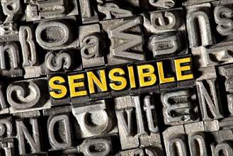 Old lead letters forming the word "SENSIBLE"