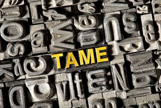 Old lead letters forming the word "TAME"