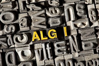 Old lead letters forming the term 'ALG I'