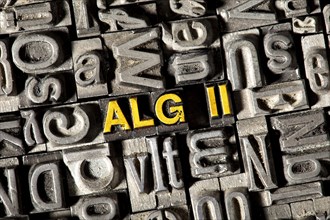 Old lead letters forming the term "ALG II"