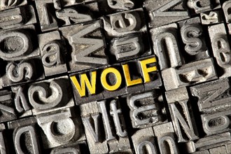 Old lead letters forming the word 'wolf'