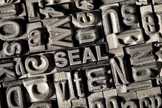 Old lead letters forming the word SEAL