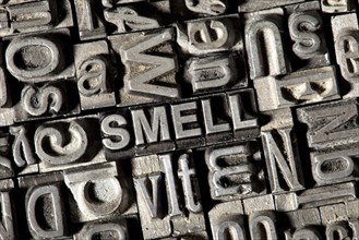 Old lead letters forming the word SMELL