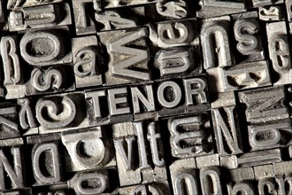 Old lead letters forming the word TENOR