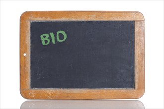 Old school blackboard with the word BIO
