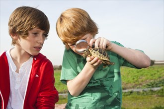 Two boys examining a turtle with a magnifying glass