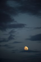 Moon and night sky