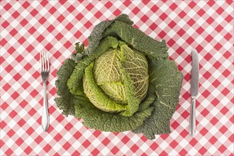 Savoy cabbage with knife and fork